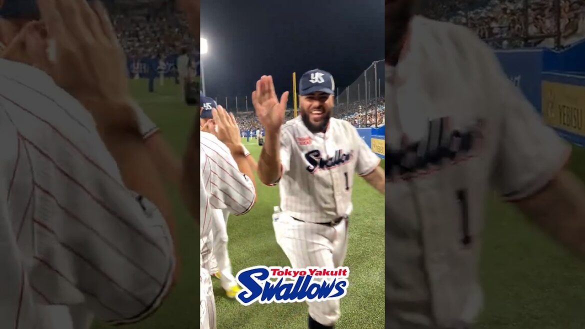 勝利後のハイタッチ #swallows #shorts