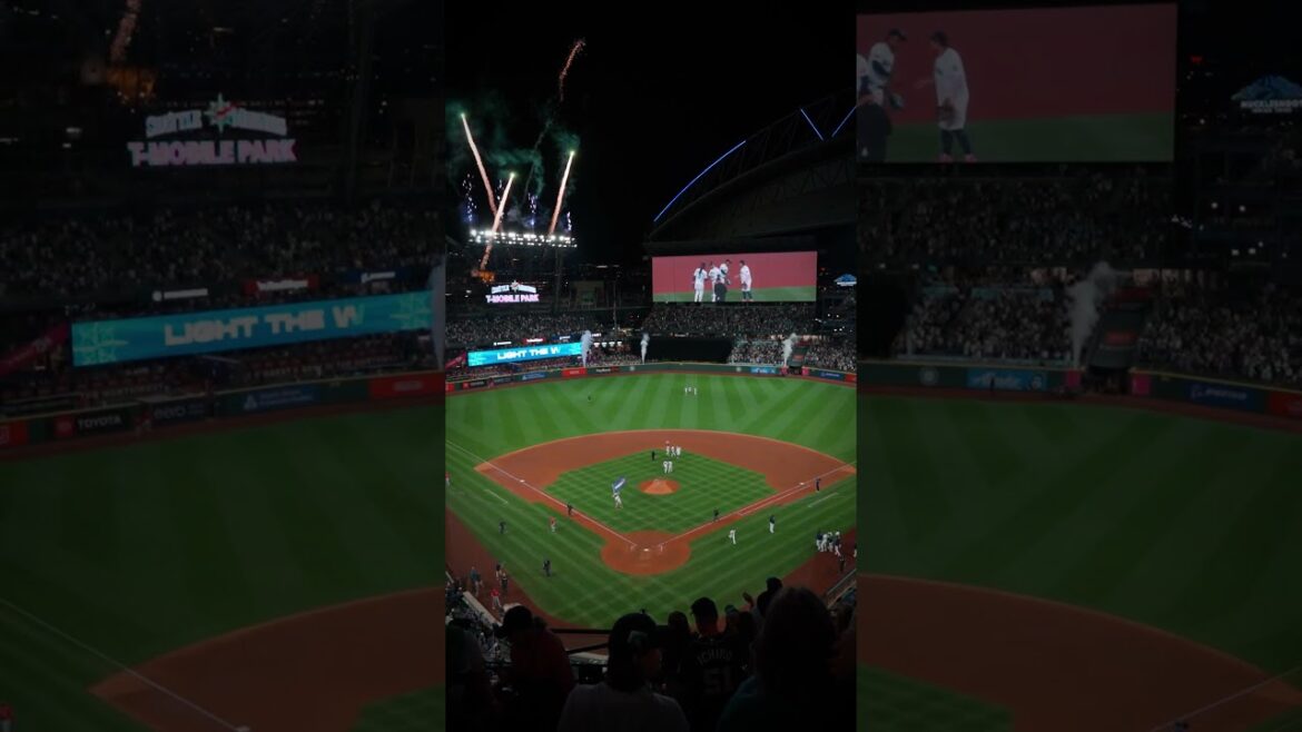 The view from up here 😍