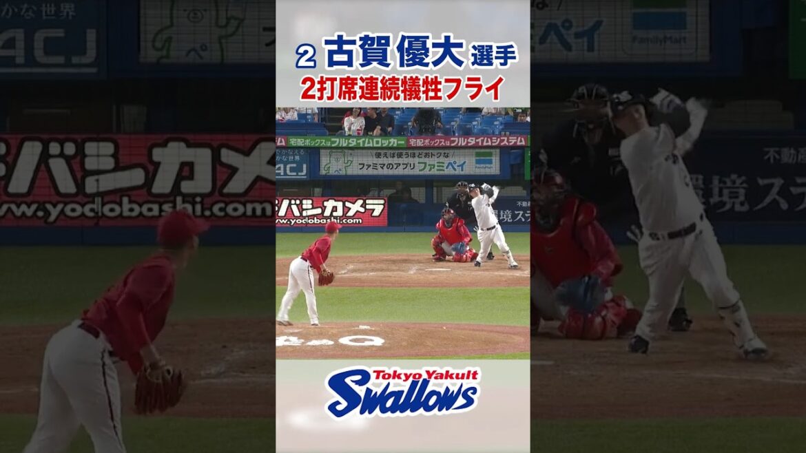 古賀優大選手 2打席連続犠牲フライ #swallows #古賀優大 #shorts