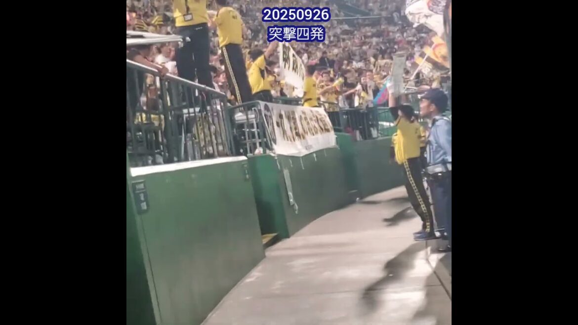 20250926　大迫力！阪神ﾀｲｶﾞｰｽ応援団の突撃四発　#shorts@阪神甲子園球場･ﾚﾌﾄ外野