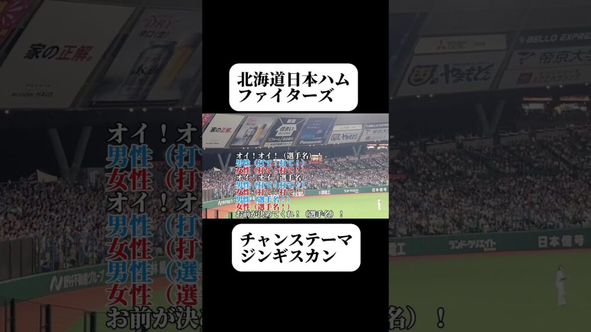 【北海道日本ハム】チャンステーマ・ジンギスカン#北海道日本ハムファイターズ #チャンステーマ #ジンギスカン #ベルド#応援歌 #shoto