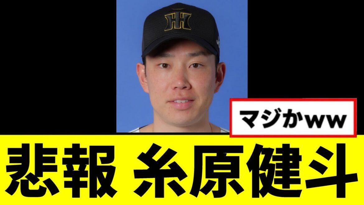【悲報】糸原健斗がヤバい事になっていた...