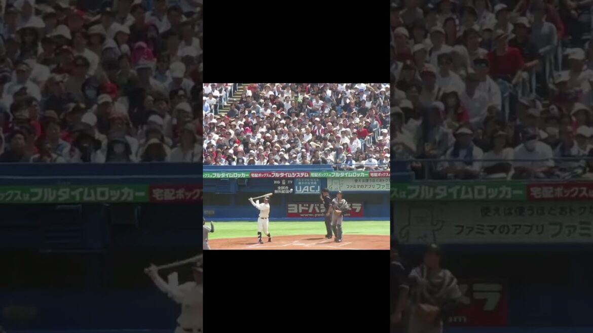 【早稲田】梅村大和の打撃フォーム2024年6月1日 早稲田大対 慶応大 六大学野球