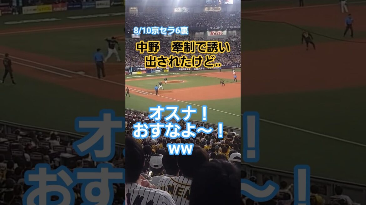 ヤクルトの守備アカンよな～#オスナ #中野拓夢 #牽制 #プロ野球 #阪神タイガース #ヤクルトスワローズ #ショート #shorts #short