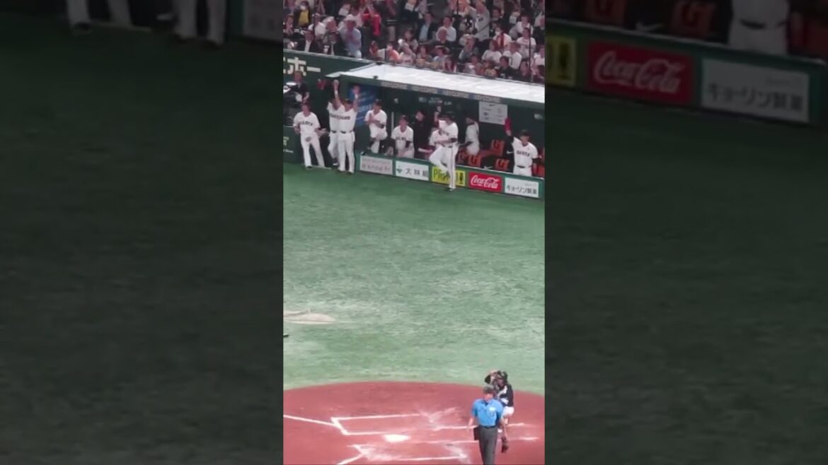 ヘルナンデス初ホームランの時のジャイアンツベンチ〜坂本勇人と長野久義がなんかエモい＜読売ジャイアンツ対 福岡ソフトバンクホークス2024年5月30日＞