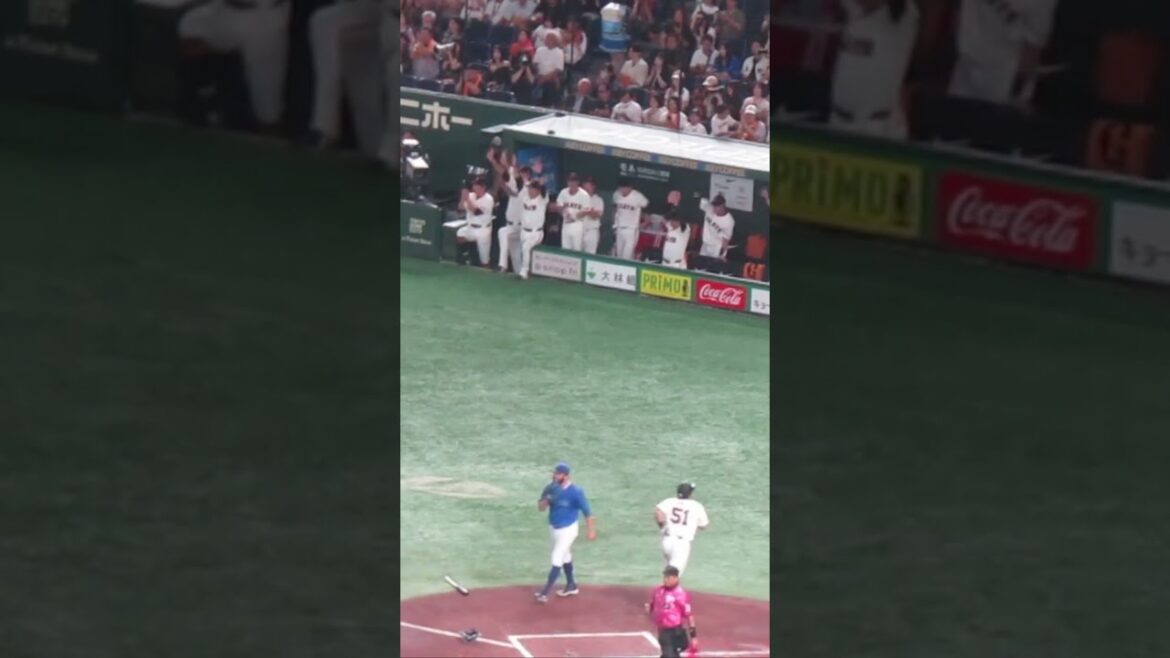 【巨人ベンチ】大城卓三の犠牲フライにみんな万歳（読売ジャイアンツ 対 横浜DeNAベイスターズ 2024年9月19日）