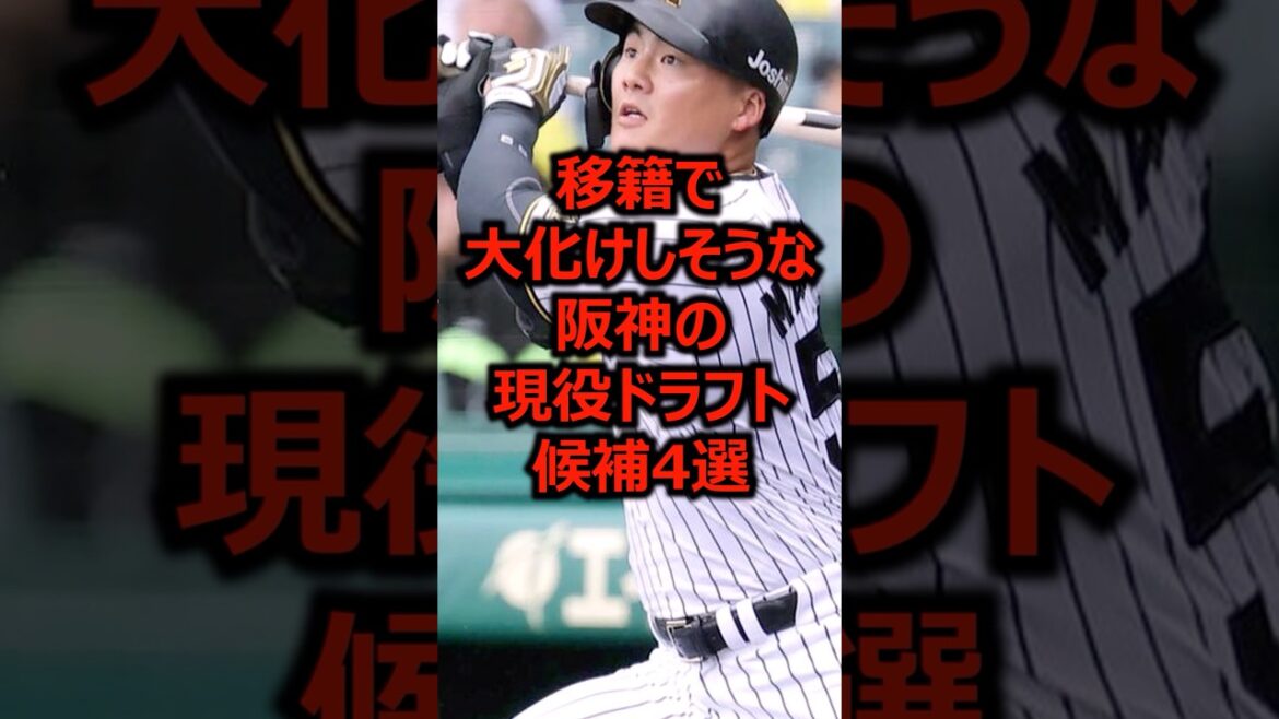 移籍で大化けしそうな阪神の現役ドラフト候補4選 #プロ野球 #阪神タイガース #前川右京