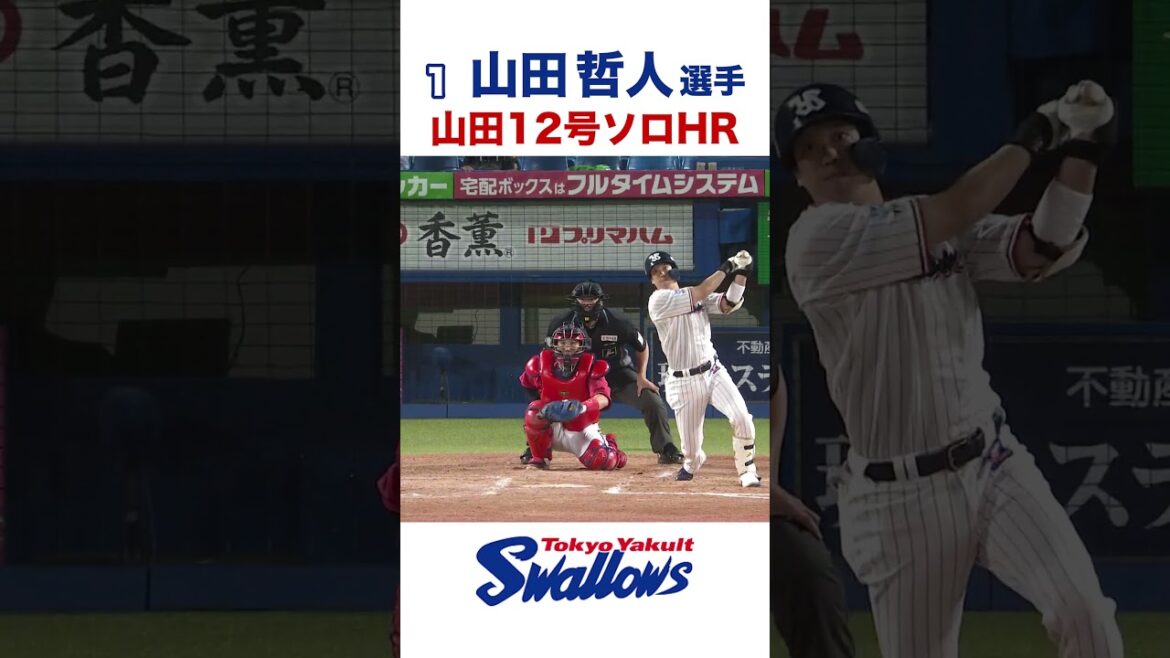 山田哲人選手 12号ソロHR #swallows #山田哲人 #shorts