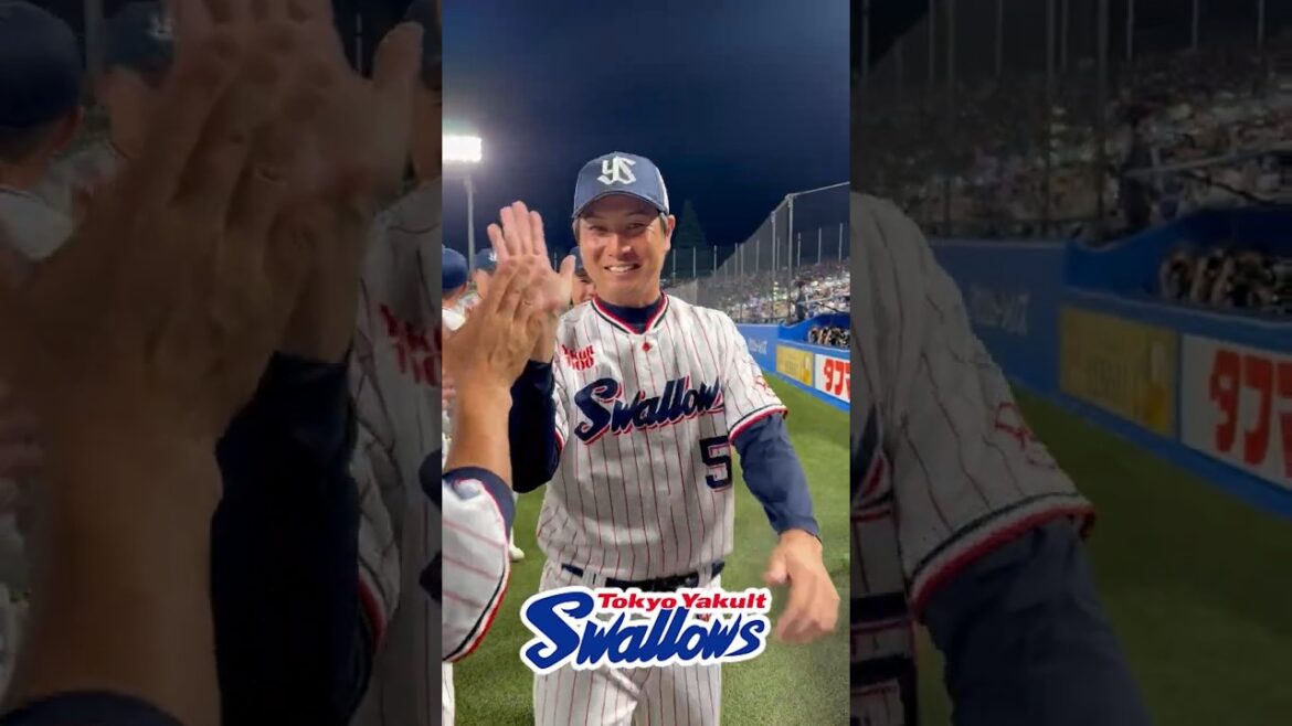 勝利後のハイタッチ #swallows #shorts