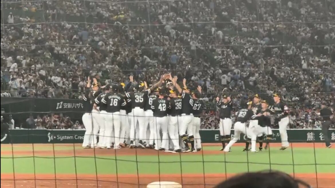 ホークス リーグ優勝の瞬間おめでとうwww　#ホークス　#ソフトバンクホークス　#野球　#プロ野球　#sports　#baseball #福岡ソフトバンクホークス　#ファイターズ　#日本ハム