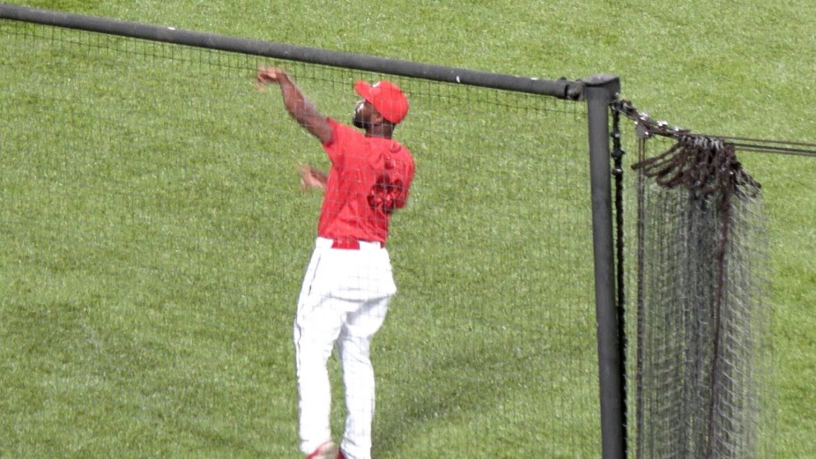 【広島東洋カープ】ヤクルト戦 最終試合 レフトスタンドのファンへボールを投げ込むハーン 現地映像