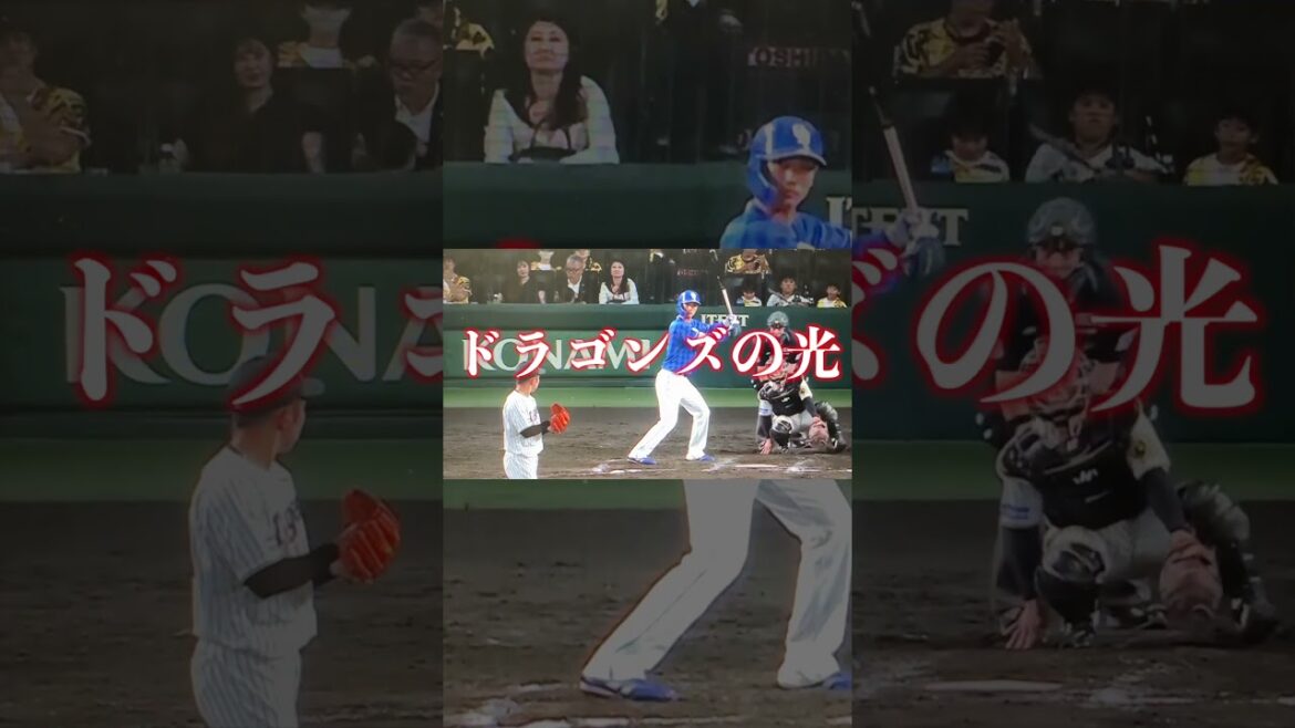 森駿太18歳、甲子園でプロ初マルチ！村上＆岩貞から“答え”を出した夜