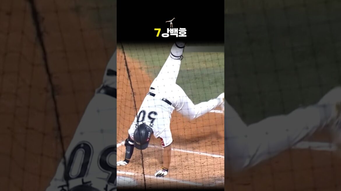 진짜 야구장을 뒤집은 강백호 물구나무