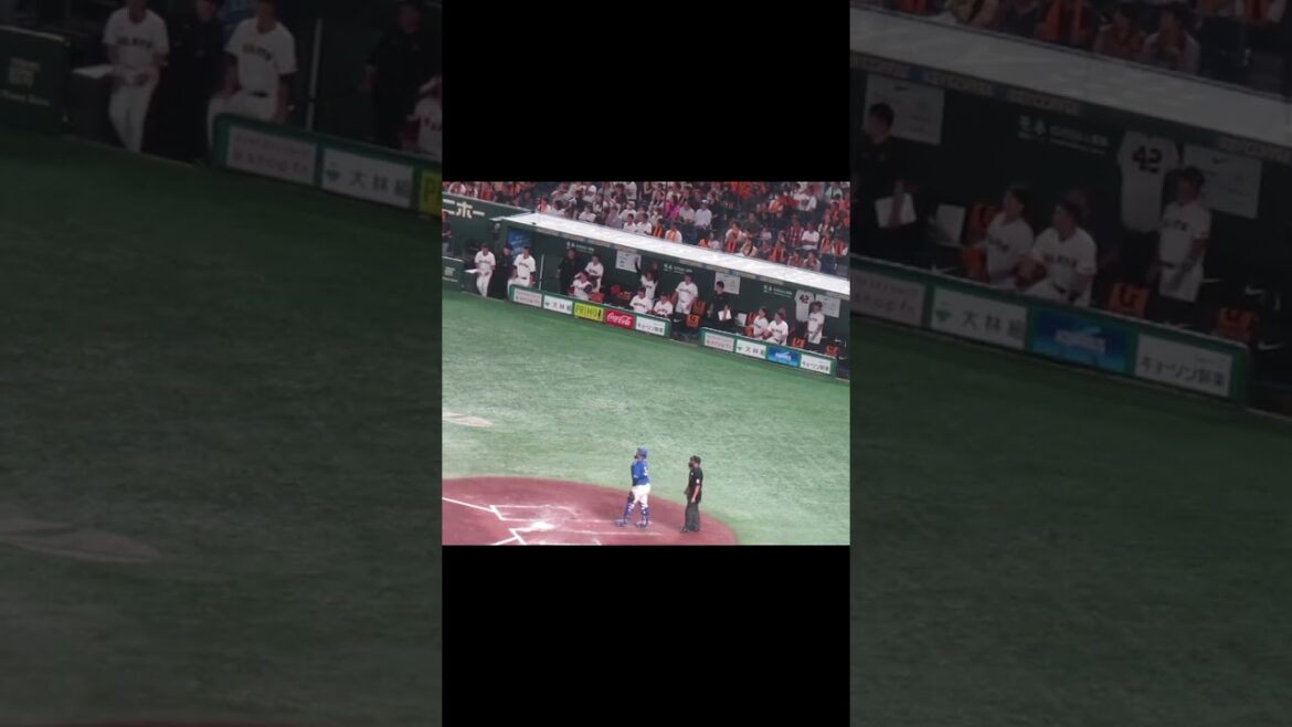 【巨人ベンチ】代打 中山礼都ヒットで喜ぶ選手たち（読売ジャイアンツ 対 中日ドラゴンズ 2024年9月16日）