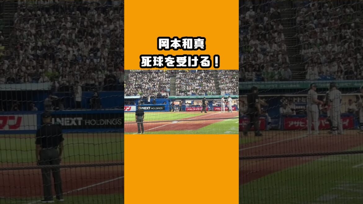 岡本和真死球を受ける！　#読売ジャイアンツ　#岡本和真　#奥川恭伸  #デッドボール