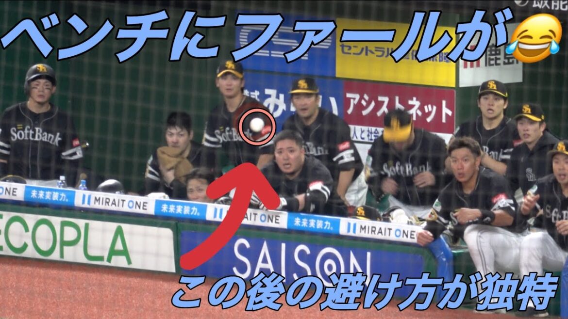 襲われるホークスベンチ🤣避け方の癖が強すぎる🤣（柳田悠岐・山川穂高・近藤健介・有原航平・野村勇・周東佑京・佐藤直樹・嶺井博希）2025.9.27㊗️ホークス優勝決定試合より