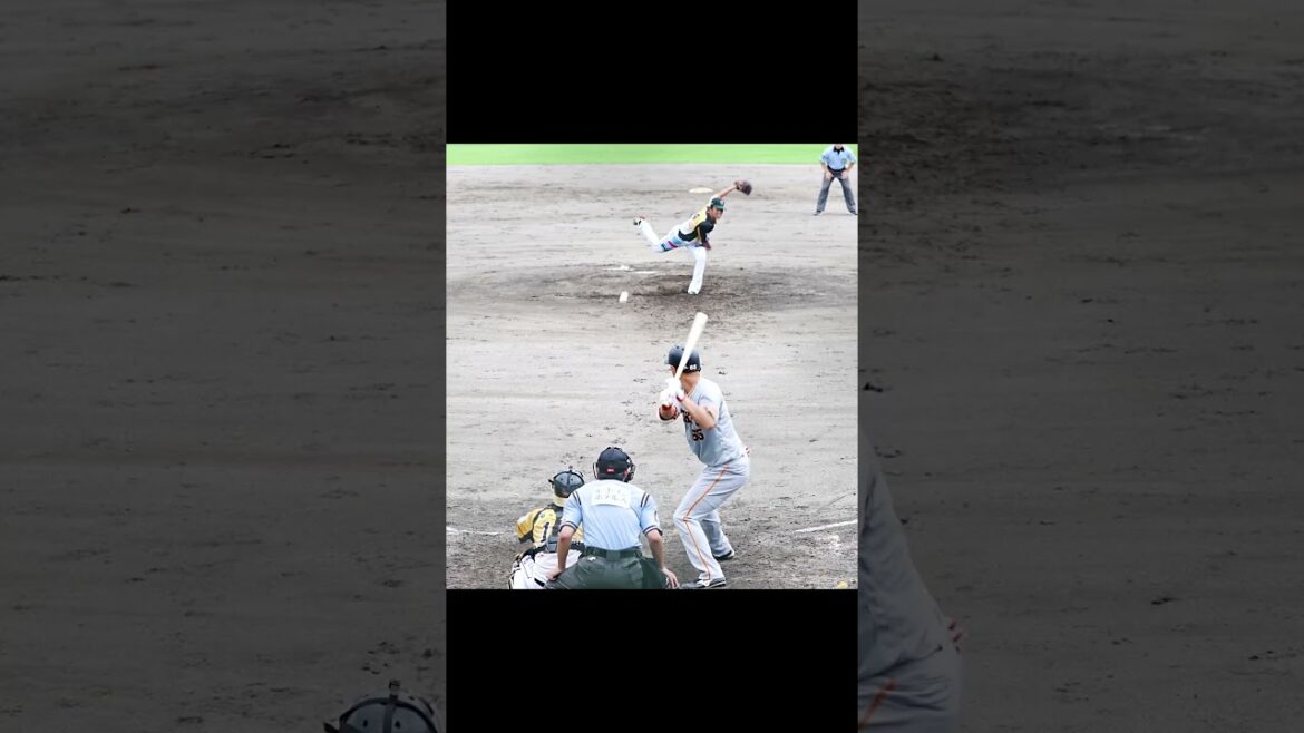 【巨人】三軍戦で見た好プレー集 #shorts #baseball #sports #ジャイアンツ #巨人 #プロ野球