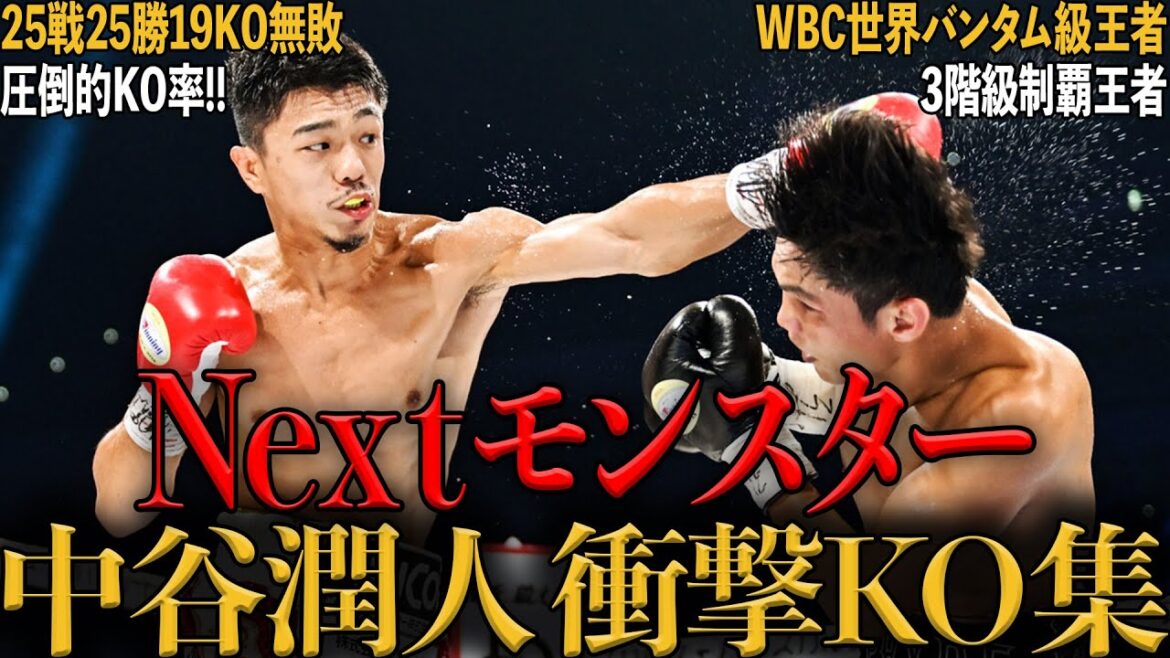 【衝撃】中谷潤人のヤバすぎKO4選|打倒 井上尚弥を目指すNEXTモンスターの試合を解説 【衝撃】中谷潤人のヤバすぎKO4選|打倒 井上尚弥を目指すNEXTモンスターの試合を解説