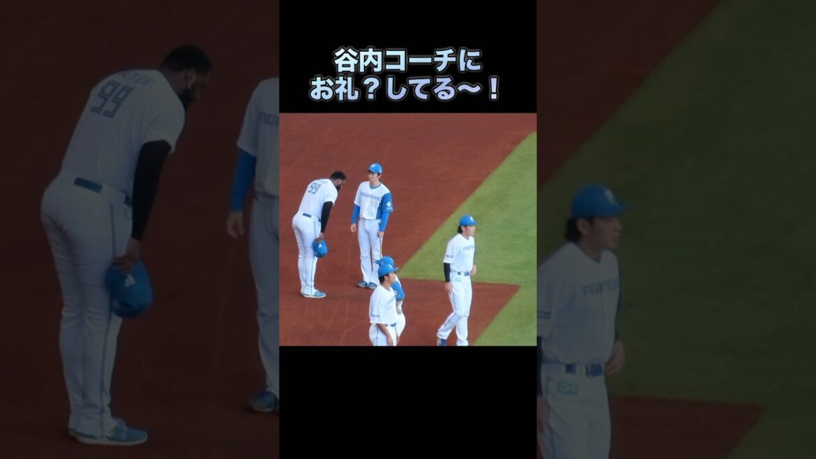 コーチにお辞儀！礼儀正し過ぎる優しい大男🤭#レイエス選手#可愛い大男#好き