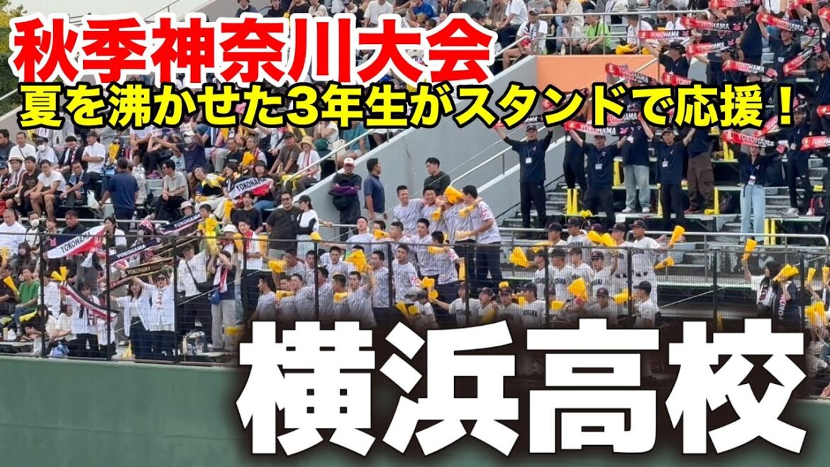 【高校野球応援】横浜高校　夏を沸かせた3年生、今度はスタンドから後輩を熱烈応援！秋季神奈川大会　準々決勝　横浜vs平塚学園　2025.9.28 応援団
