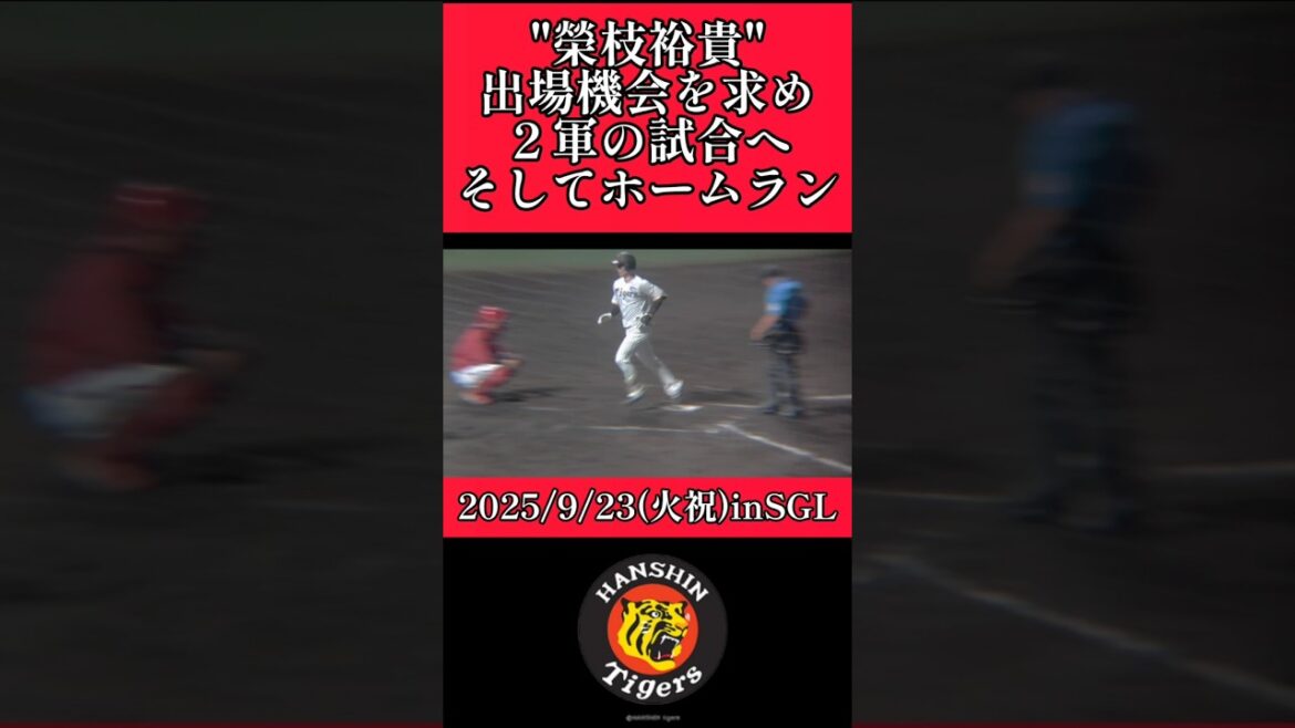 【阪神】"榮枝裕貴"ファームの試合で今季初ホームラン！ #阪神 #阪神タイガース #榮枝裕貴 #shorts