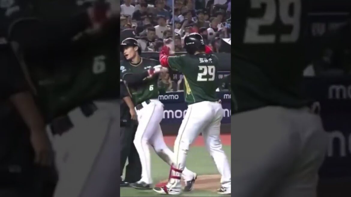 Steven Moya produciendo en Taiwán #taiwan #stevenmoya #baseball #highlights #sports #trending #PR