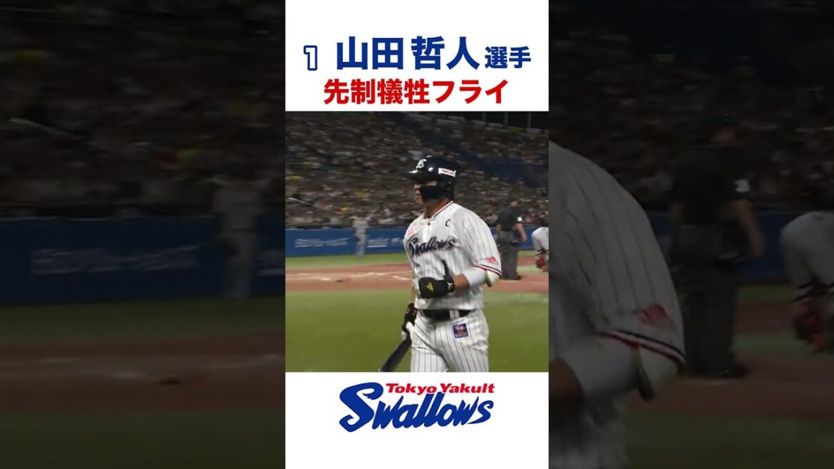 山田哲人選手 先制犠牲フライ #swallows #山田哲人 #shorts