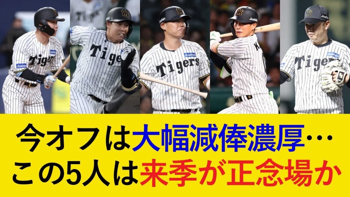 減額制限超えの大幅減俸続出か…。もう後がない、正念場を迎えているベテラン5選手がこちら…。【阪神タイガース】 減額制限超えの大幅減俸続出か...。もう後がない、正念場を迎えているベテラン5選手がこちら...。【阪神タイガース】