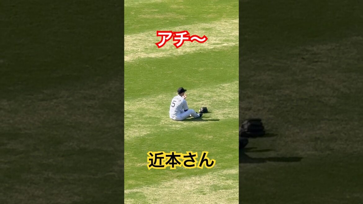 近本さん、大竹さん治療中に小休止 #阪神タイガース #近本 #shorts