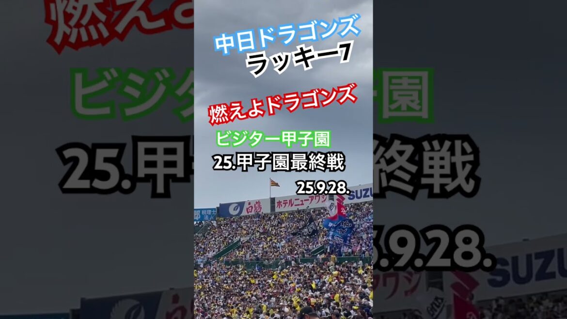 #中日ドラゴンズ #燃えよドラゴンズ #ラッキー7 #ラッキーセブン #中日 #中日応援