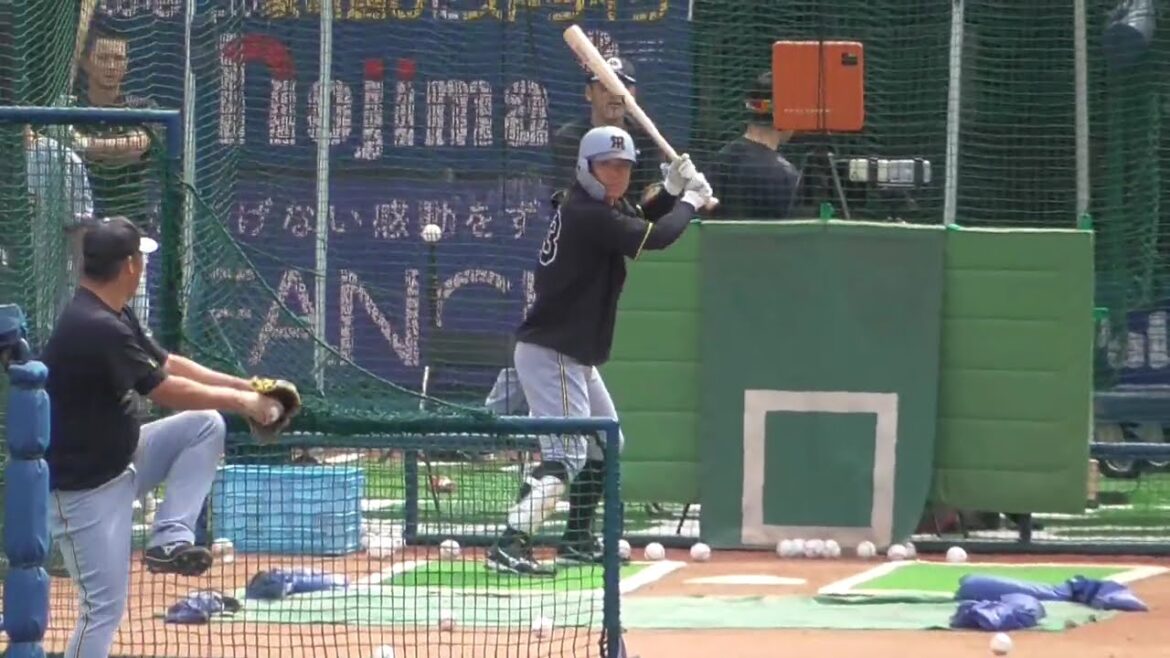 2025年9月23日 阪神・糸原 健斗 選手の試合前フリー打撃練習