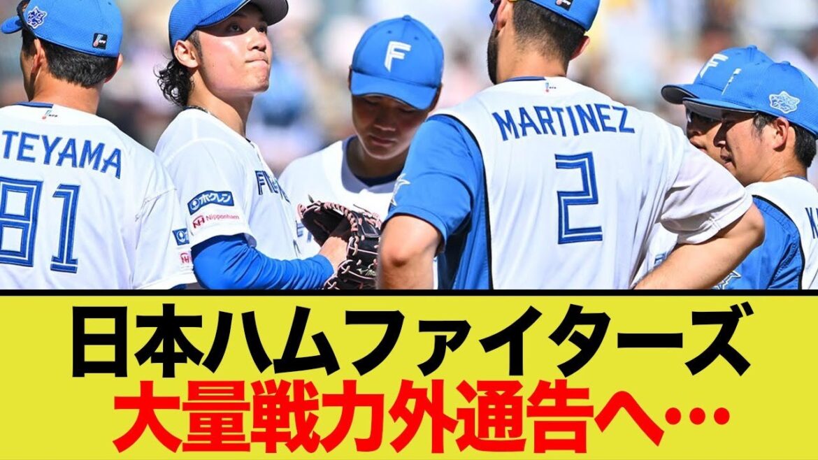 【非情の現実】日ハム戦力外候補…特に成績が厳しいと名指しされた選手とは