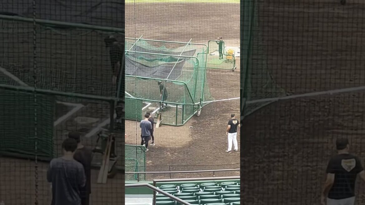 【GIANTS】 #舟越秀虎 選手051のバッティング練習 #shorts #巨人 #ジャイアンツ #プロ野球