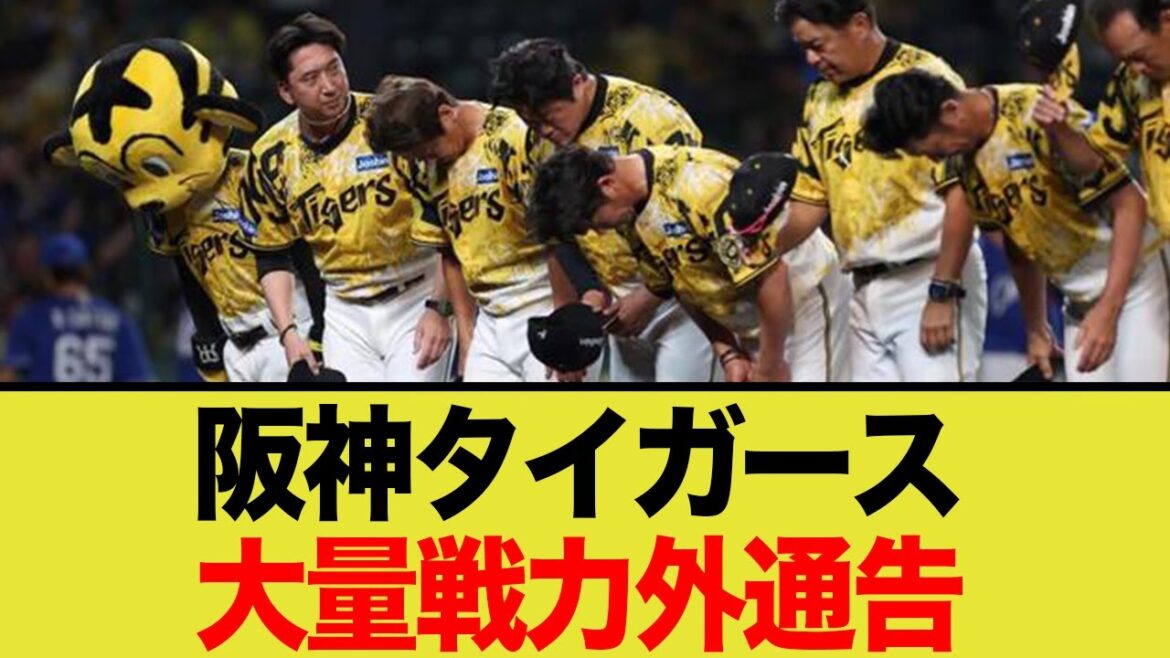 ネット震撼…阪神の非情すぎる戦力外リスト。功労者たちの名が挙がる本当の理由とは