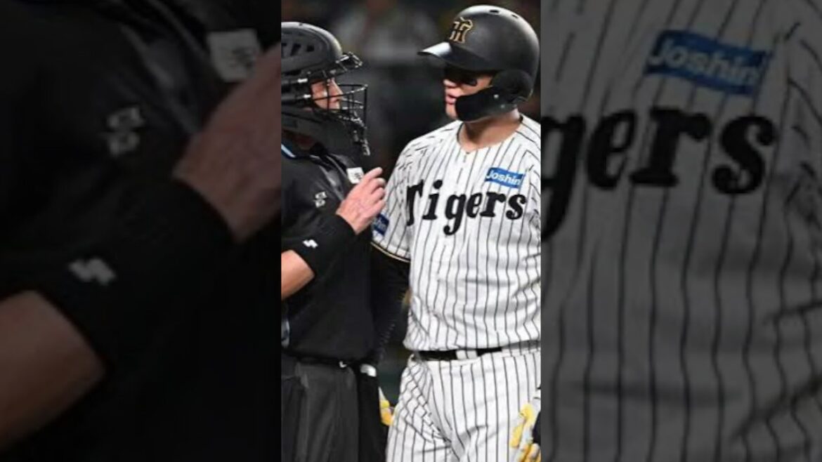 カップルの距離感 #プロ野球