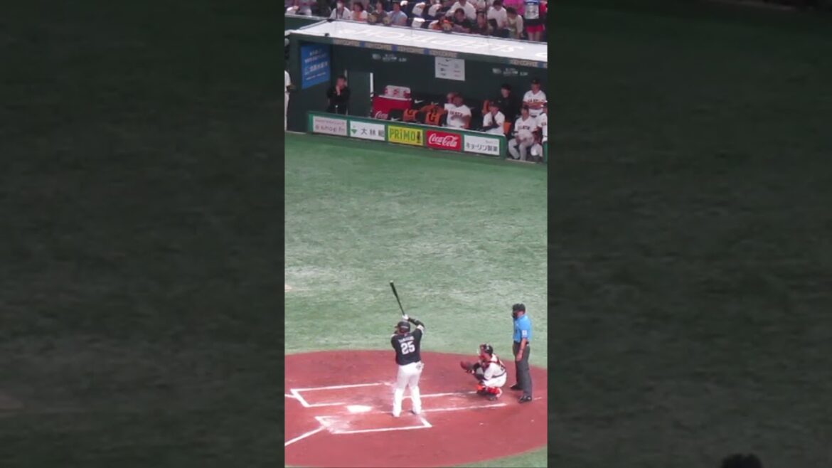 山川穂高 高橋礼の球に空振り三振＜読売ジャイアンツ対 福岡ソフトバンクホークス2024年5月30日＞