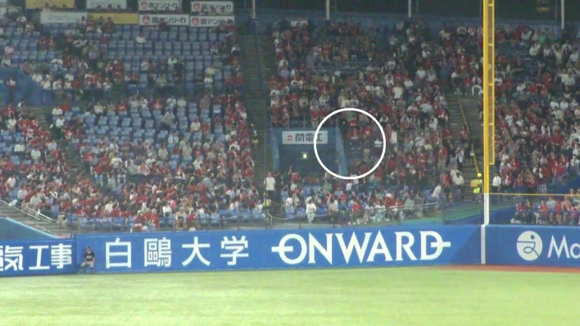 ヤクルト 並木秀尊 あわやホームランの大ファール 惜しい当たり その後タイムリーツーベースヒット　ヤクルト vs 広島　2025年9月26日(金)　神宮球場