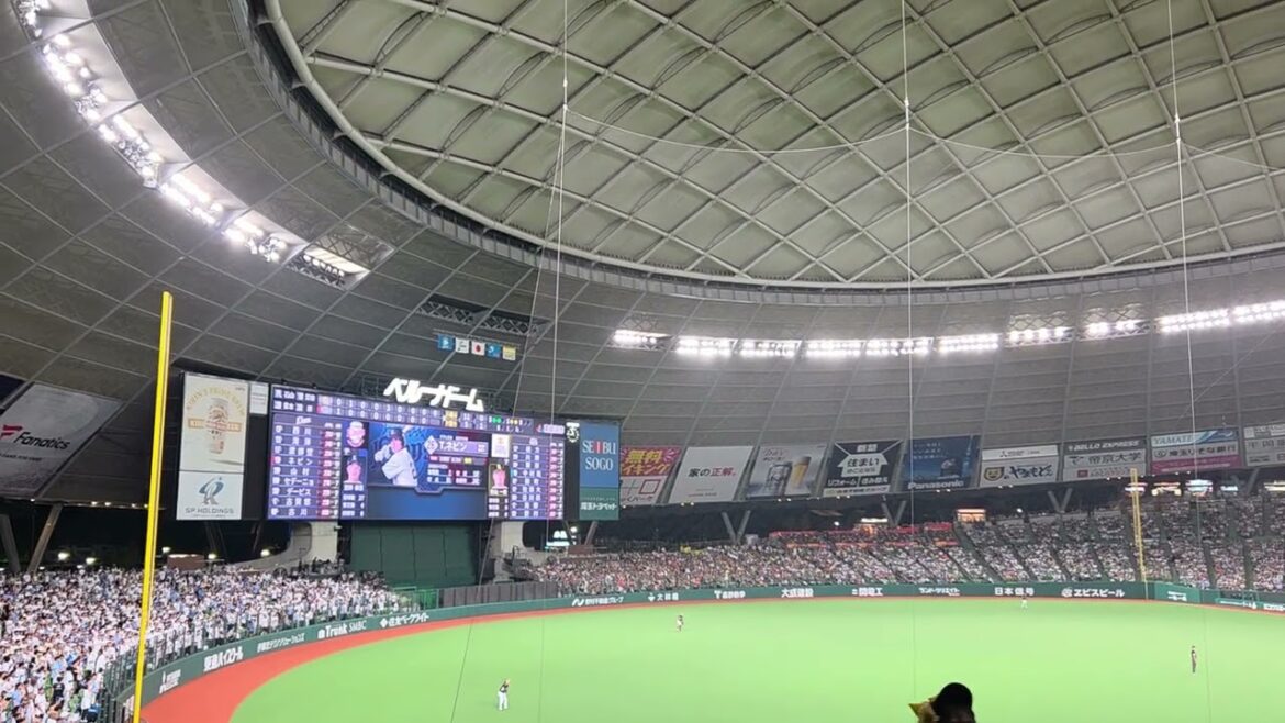 【レア!】埼玉西武ライオンズチャンステーマメドレー(チャンテ1-4) 超満員の中の大応援! 西武-ソフトバンク ベルーナドーム2025/9.27 【レア!】埼玉西武ライオンズチャンステーマメドレー(チャンテ1-4) 超満員の中の大応援! 西武-ソフトバンク ベルーナドーム2025/9.27