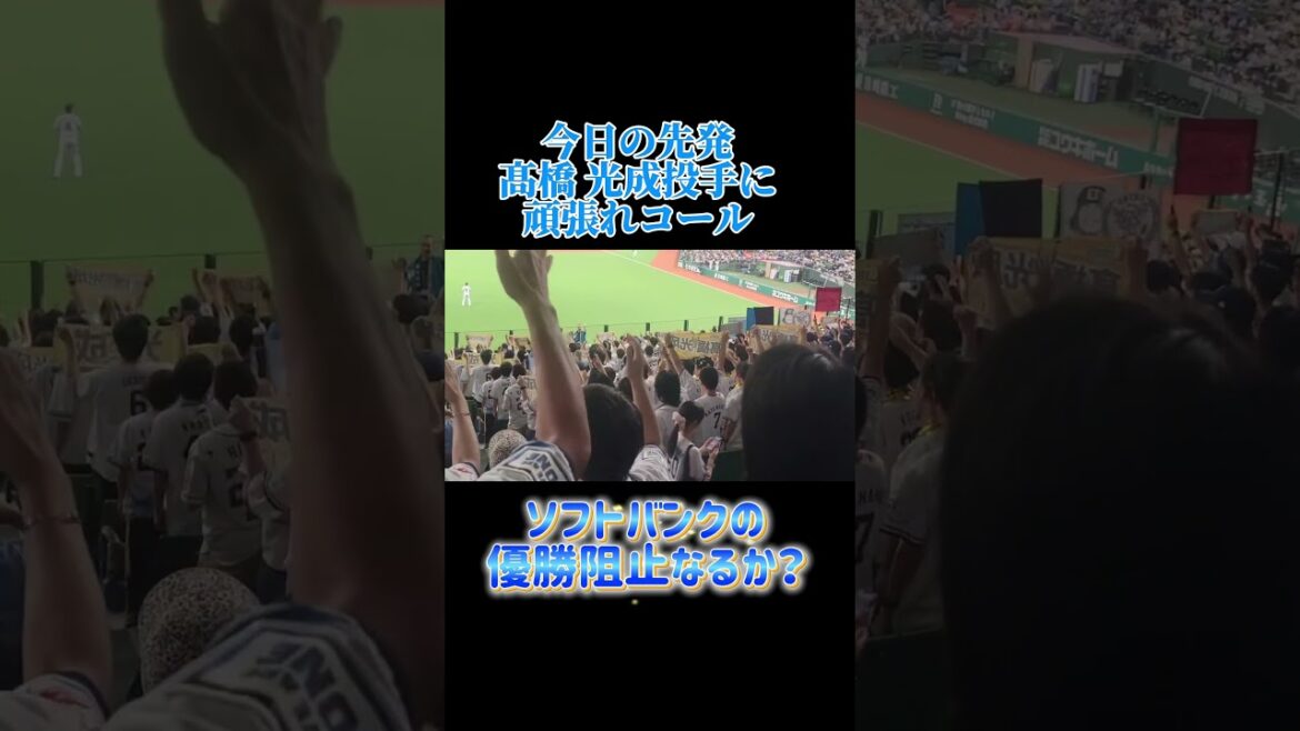 【埼玉西武】先輩髙橋光成投手に頑張れコール！#ライオンズ #埼玉西武ライオンズ #髙橋光成#頑張れコール#shoto #ソフトバンク #mlb