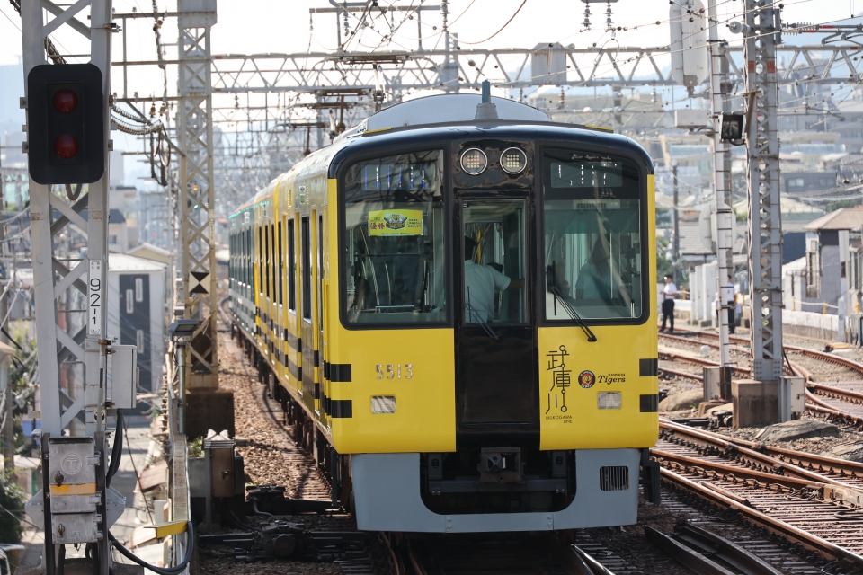ニュース画像 1枚目：阪神5500系「タイガース号」 2023年09月29日撮影