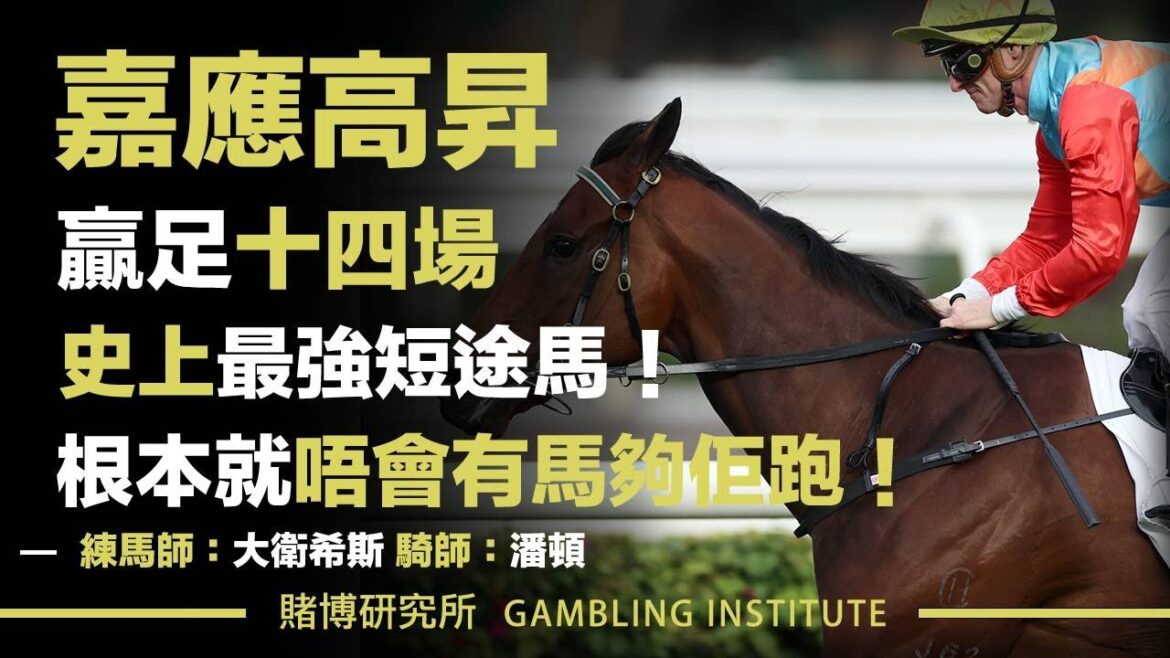 【賽馬重溫】嘉應高昇贏足十四場！｜史上最強短途馬！根本就唔會有馬夠佢跑！