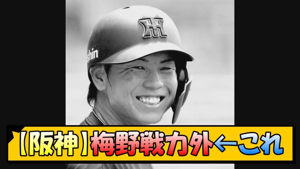 【阪神】梅野戦力外←これ