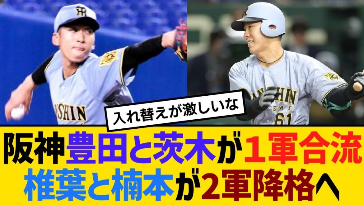 阪神・豊田寛と茨木秀俊が１軍合流！椎葉剛と楠本泰史が2軍降格へ【野球】【反応】【考察】