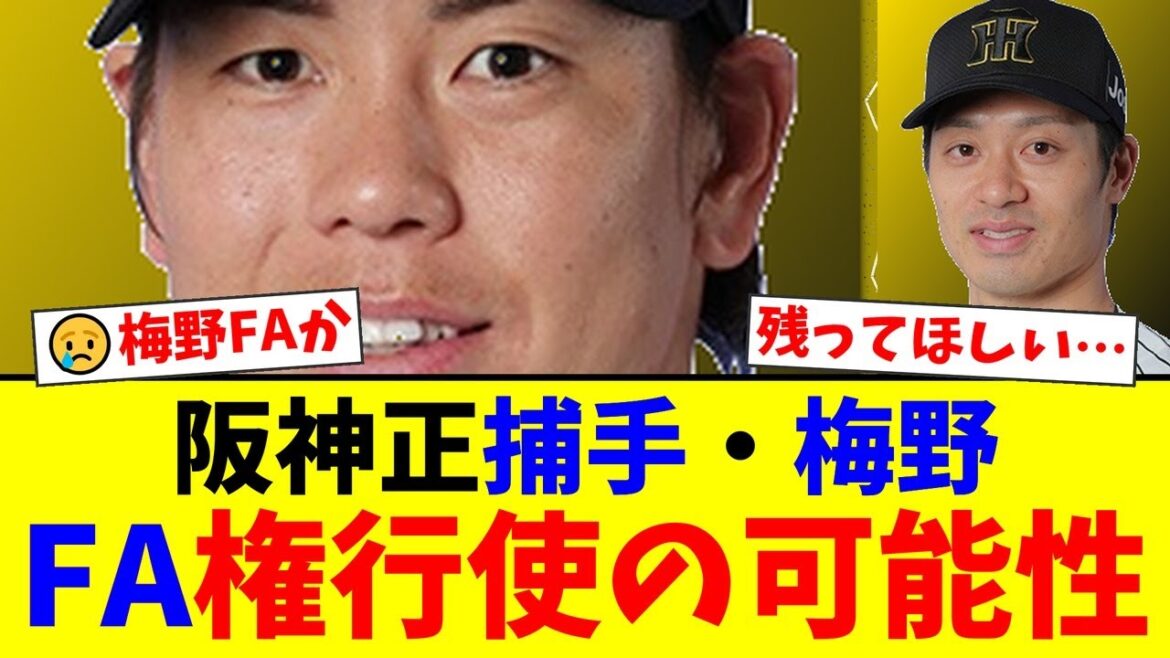 阪神の正捕手・梅野隆太郎、出場機会激減でFA権行使の可能性浮上…坂本台頭で岐路に立つベテランの決断に虎党の意見が割れる【プロ野球ファンの反応】