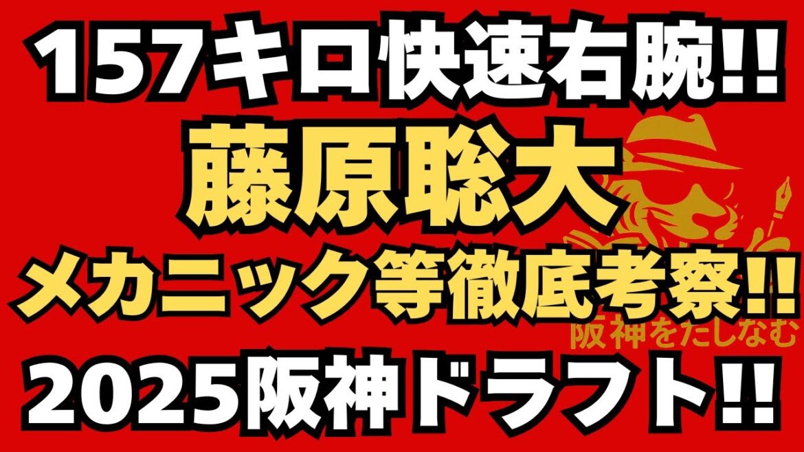 阪神がリストアップ‼️藤原聡大を徹底考察‼️阪神タイガース2025ドラフト考察‼️＃藤原聡大＃櫻井ユウヤ＃松歩叶＃阪神タイガース#阪神　ドラフト考察#阪神ドラフト #DH制決定　＃阪神　ドラフト　投手