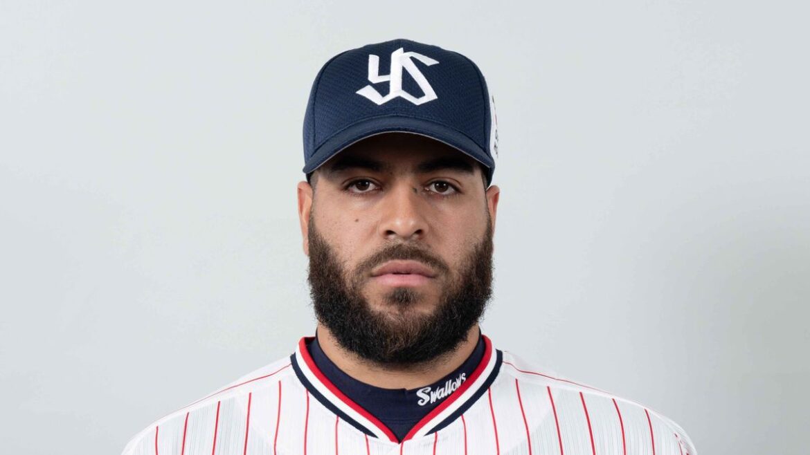 日本テレビ放送網