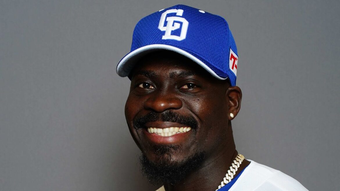 日本テレビ放送網