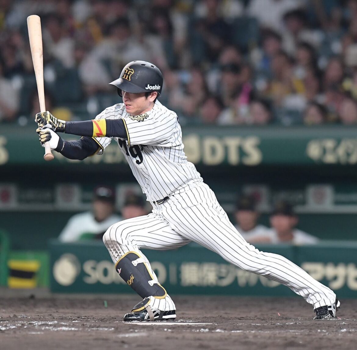 阪神・近本光司「嵐も来年のライブで最後になる」登場曲を感謝カンゲキ雨嵐に変更（サンケイスポーツ） - Yahoo!ニュース - Yahoo!ニュース