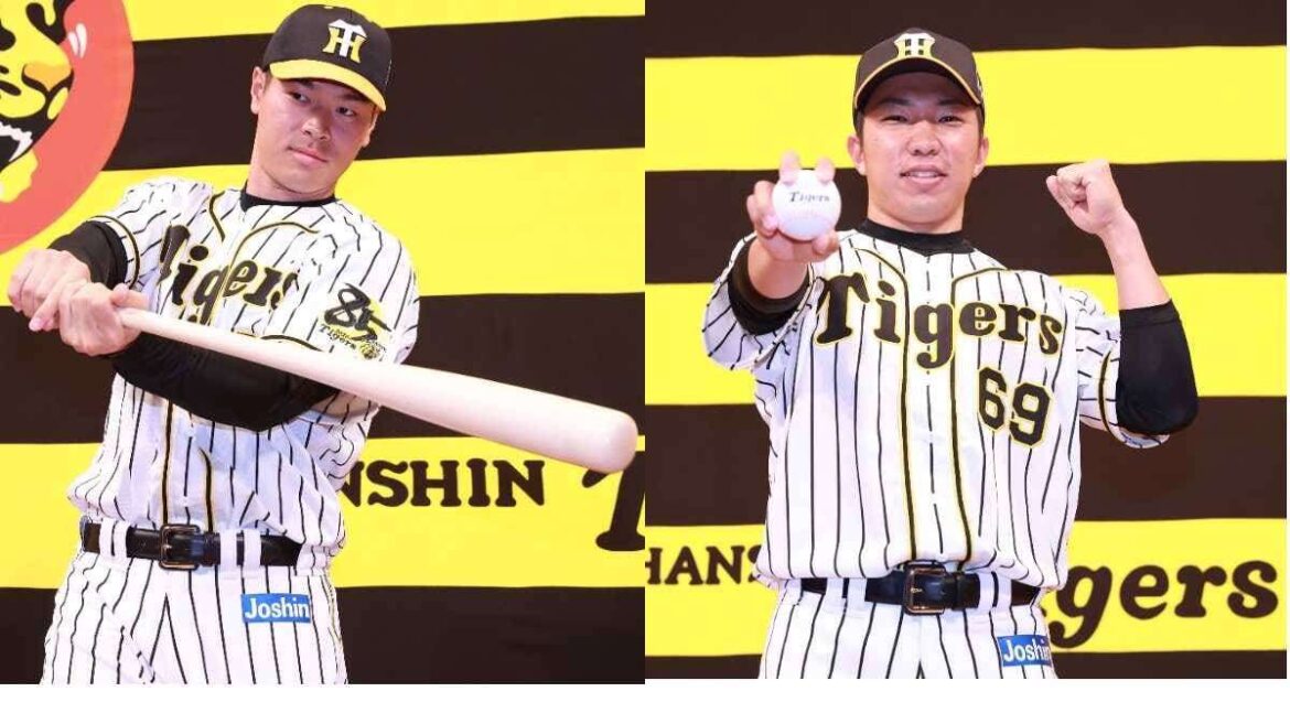 佐藤輝、石井ら2020年秋は「神ドラフト」 補強戦略変更で土台築く「描いてきた理想」 藤川阪神 独走Vの要因（産経新聞） - Yahoo!ニュース - Yahoo!ニュース