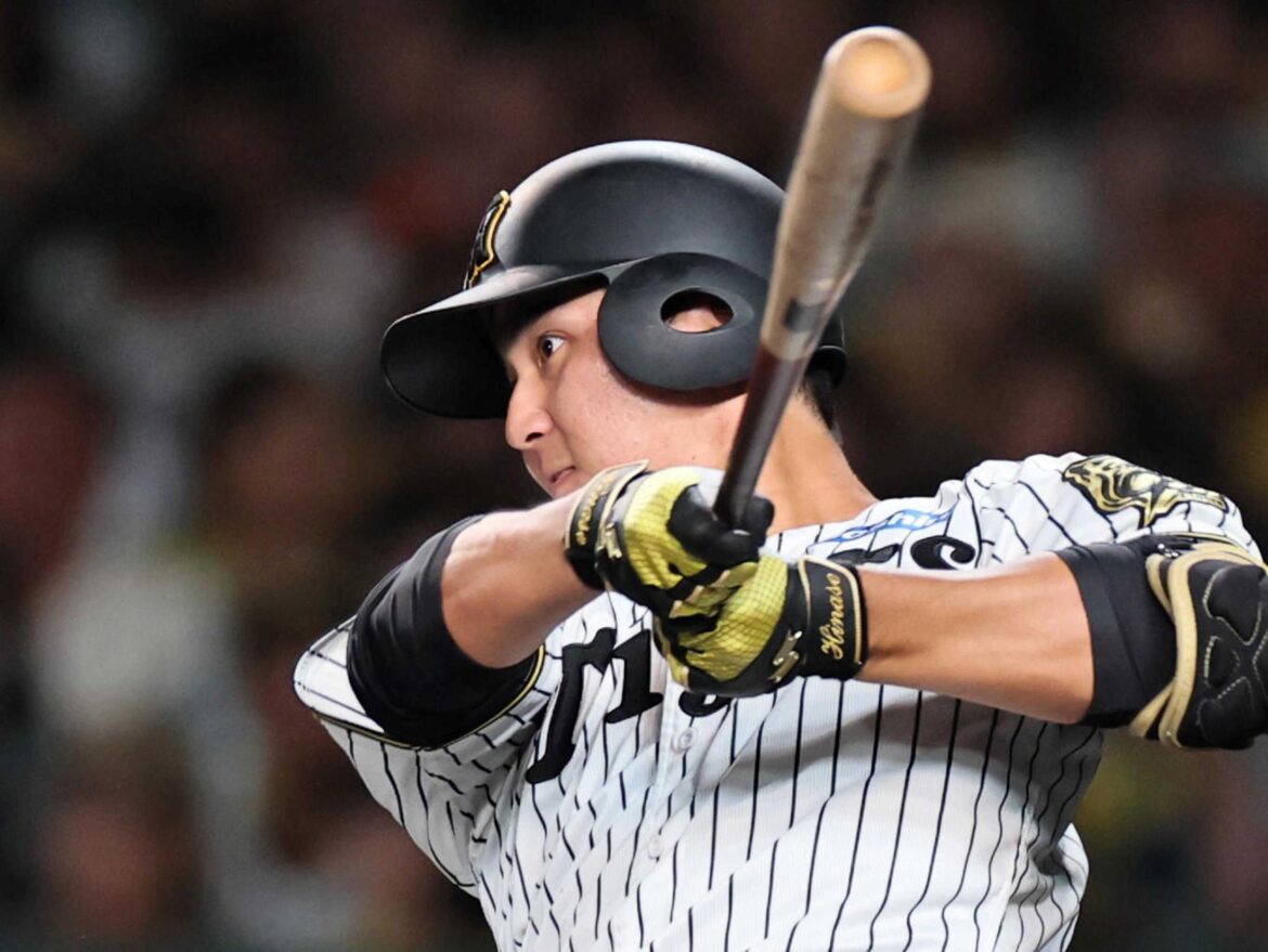 阪神・井坪 甲子園初安打 今季３度目スタメン、二回初打席で東撃ち「いい準備できてた」（デイリースポーツ） - Yahoo!ニュース - Yahoo!ニュース